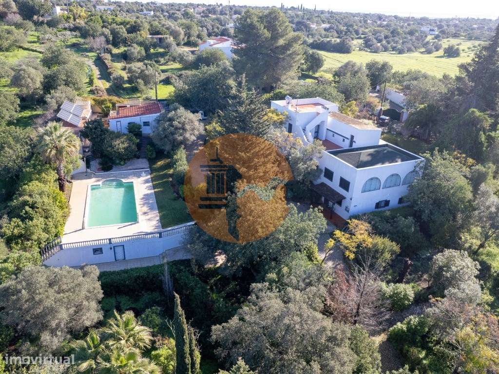 Quinta com 3 Casas + Piscina e Garagem | 6.040 m² - Moncarapacho - Grande imagem: 4/60