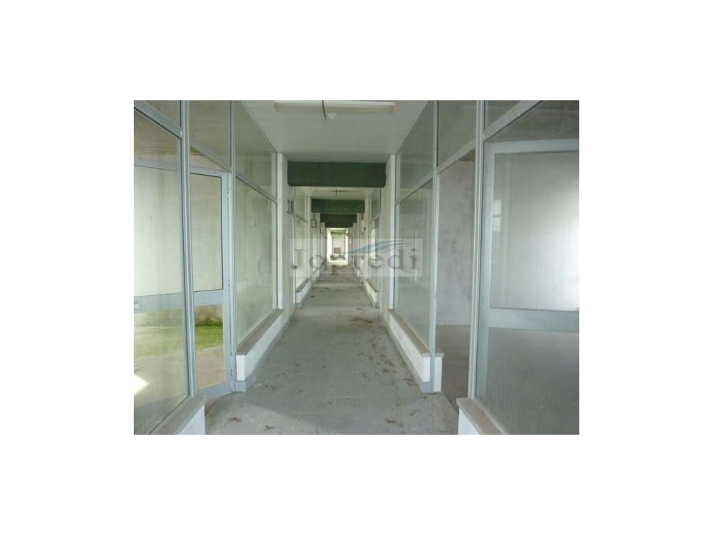 3 lotes de terreno urbanos-6