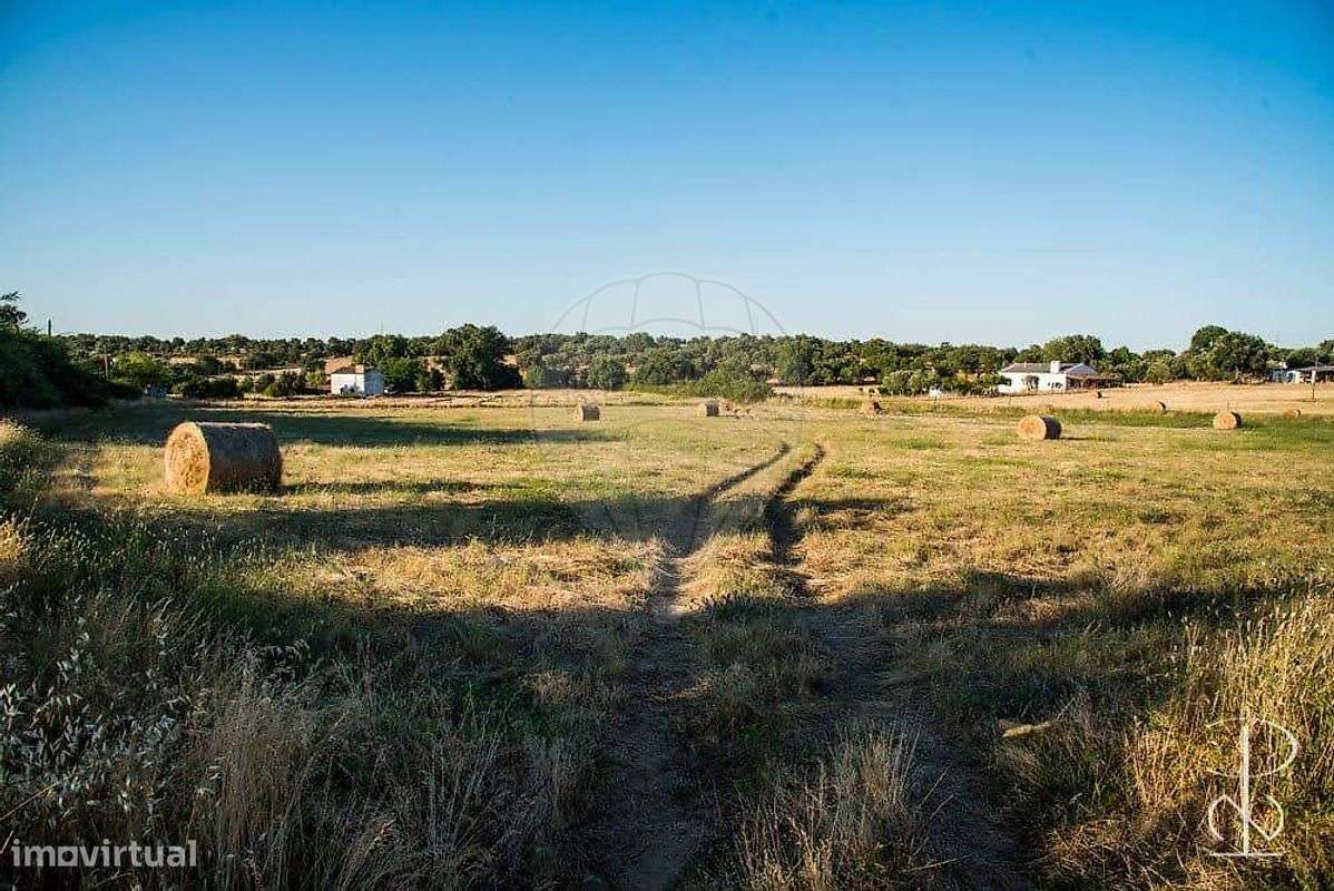 Quinta T5 para venda - Grande imagem: 4/27