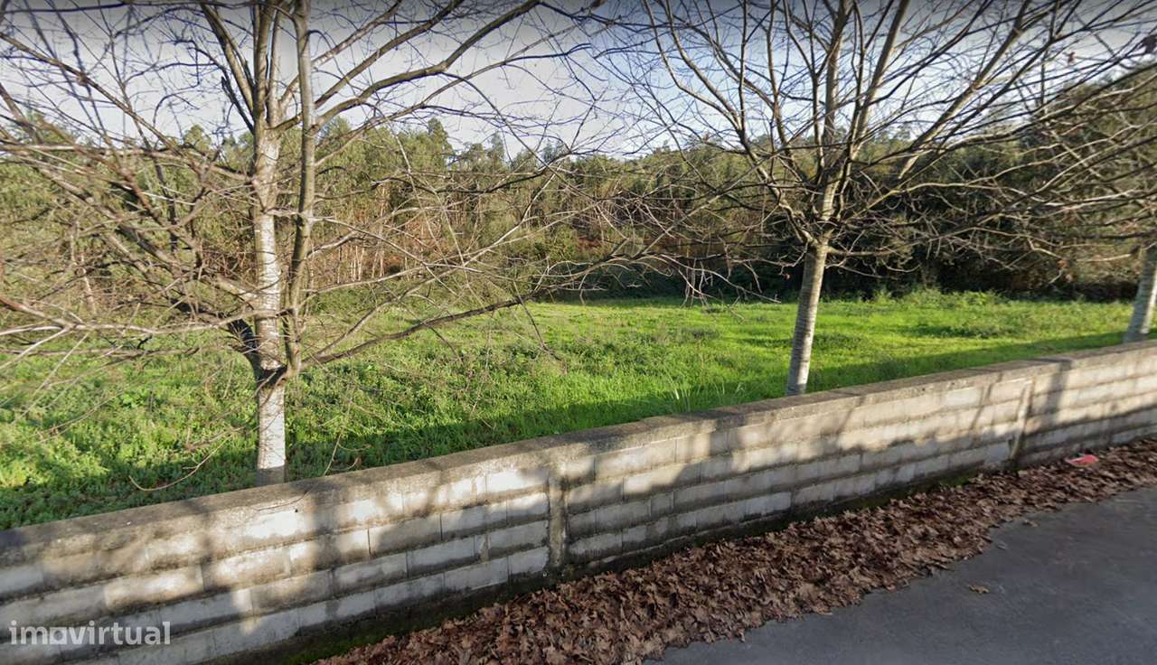 Terreno com 23.000 m2 em Igreja Nova - Barcelos - Grande imagem: 5/17