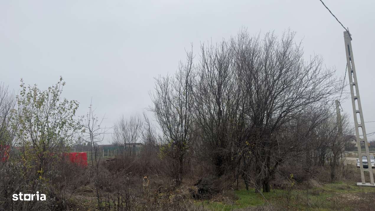 Teren de 533 mp - 10 min de Pitesti-Albota Arges!-6