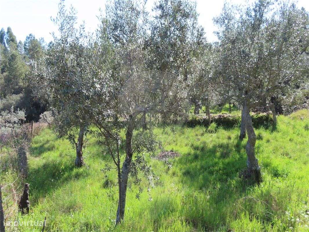 Terreno  para venda - Grande imagem: 2/16