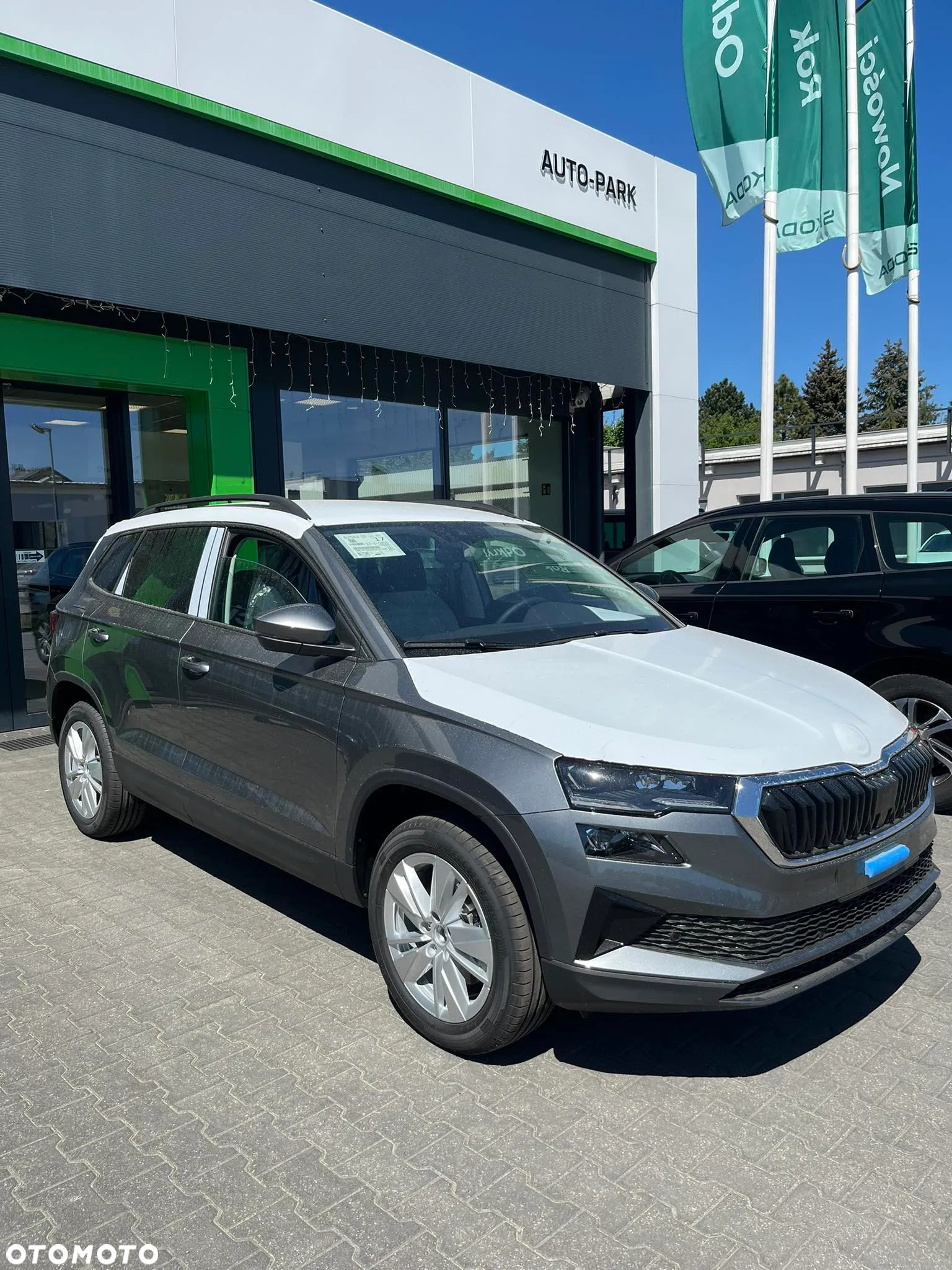 Skoda Karoq - 2