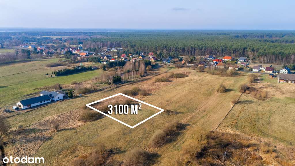 Duża działka 25 min od Szczecina w niskiej cenie. - Pełny obrazek: 3/9