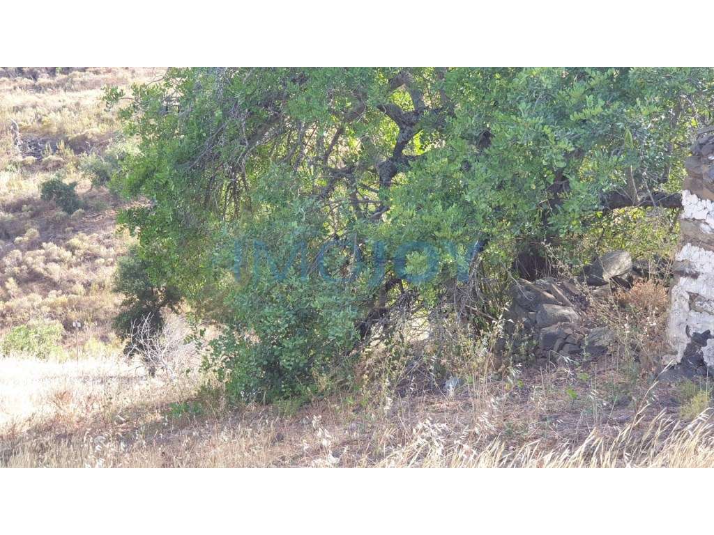 Terreno na Murteira de Baixo, Azinhal em Castro Marim - Grande imagem: 3/12