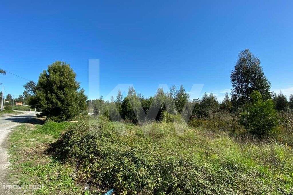 Terreno Quintãs | Oliveirinha | 4200m2 | Urbanizável - Grande imagem: 5/15