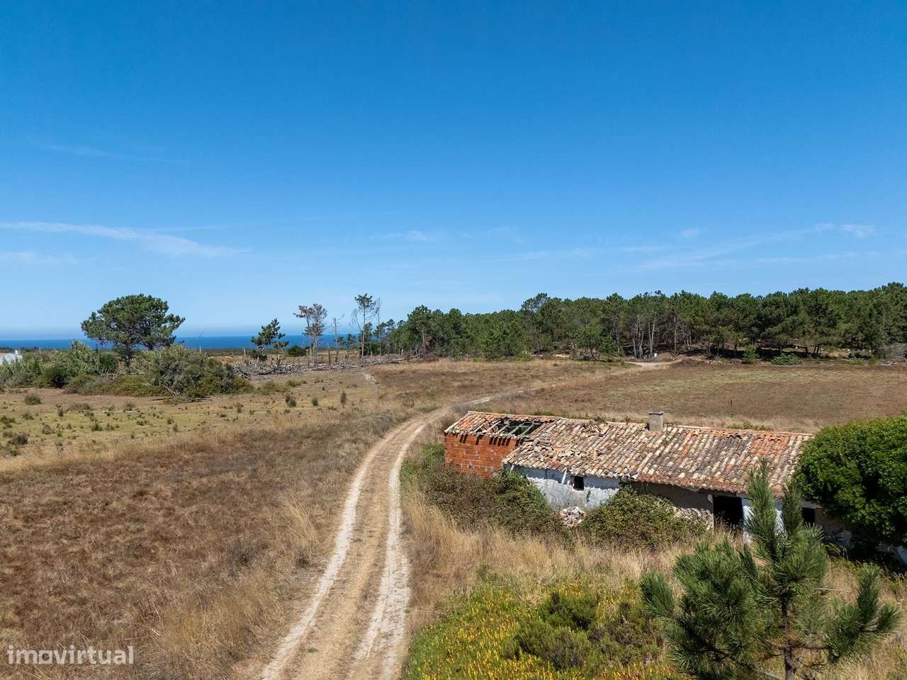 TERRENO RÚSTICO COM 2 RUINAS À BEIRA-MAR NO ROGIL, ALJEZUR - Grande imagem: 3/13