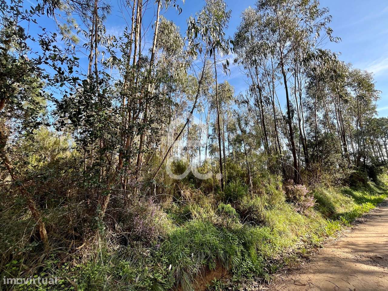 Terreno Misto, Fanadia - Grande imagem: 4/18