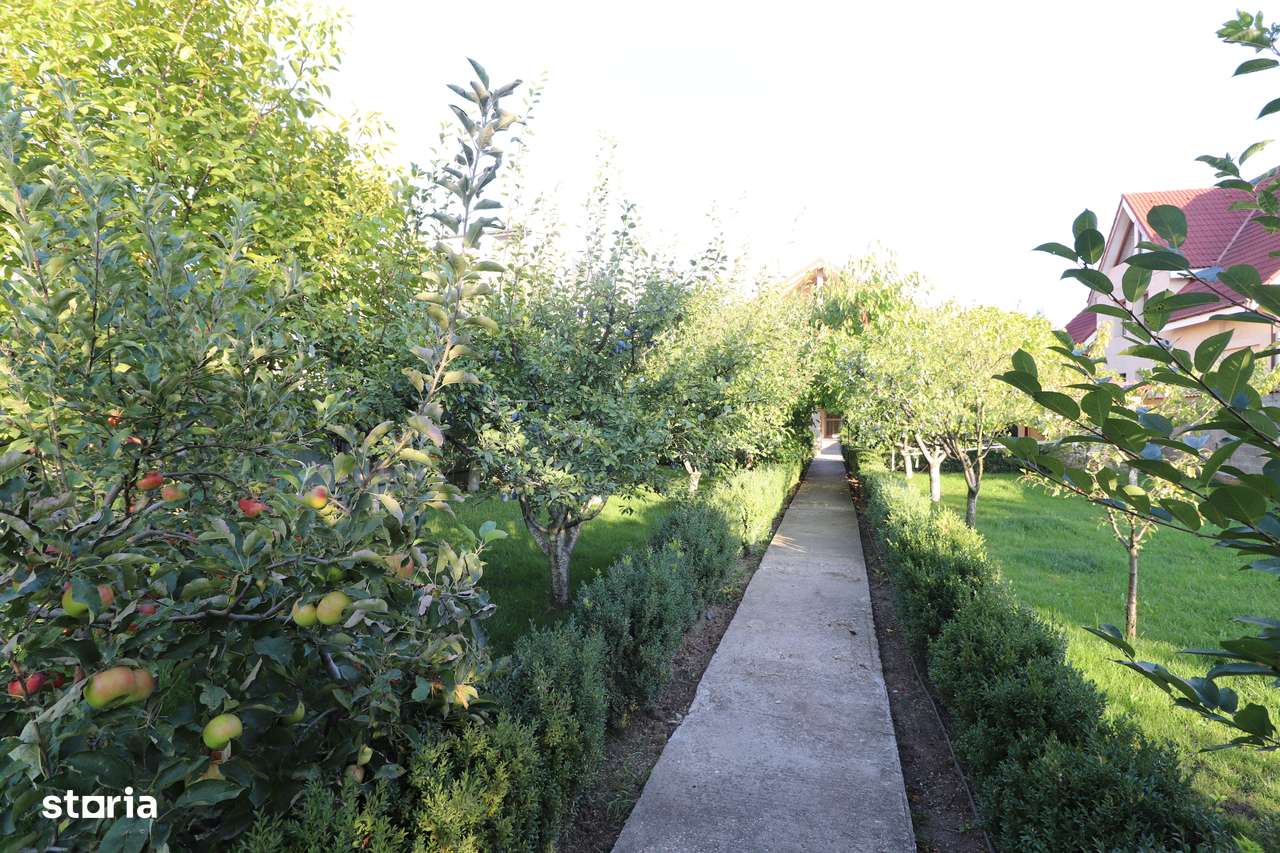 Vila individuala spatioasa cu 1500 mp teren central in Magurele-4