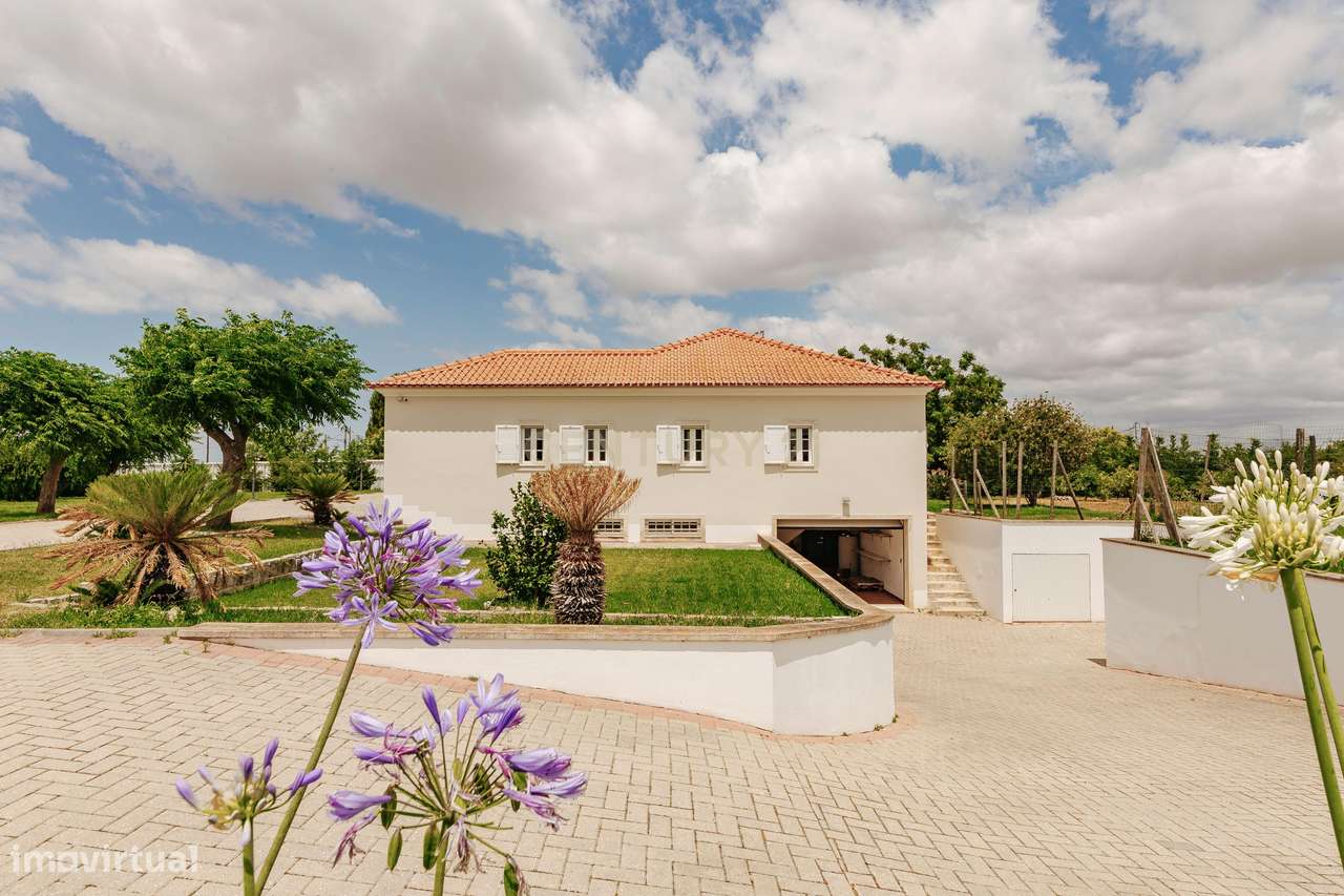 Moradia Térrea T4 na Moita com 3470m2 de Terreno - Grande imagem: 4/37