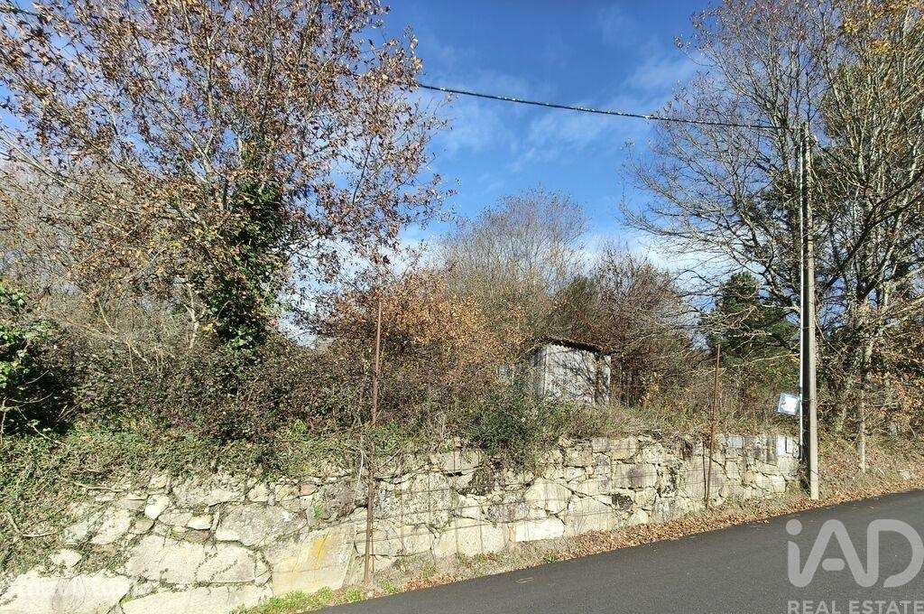 Terreno Agrícola em Covas - Grande imagem: 2/17