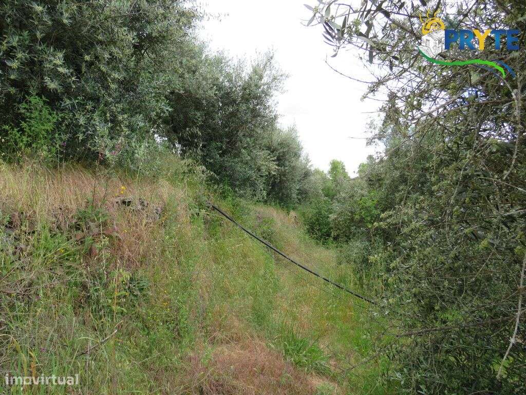 Pequena quinta a confinar com a Ribeira situada perto de Oleiros-49