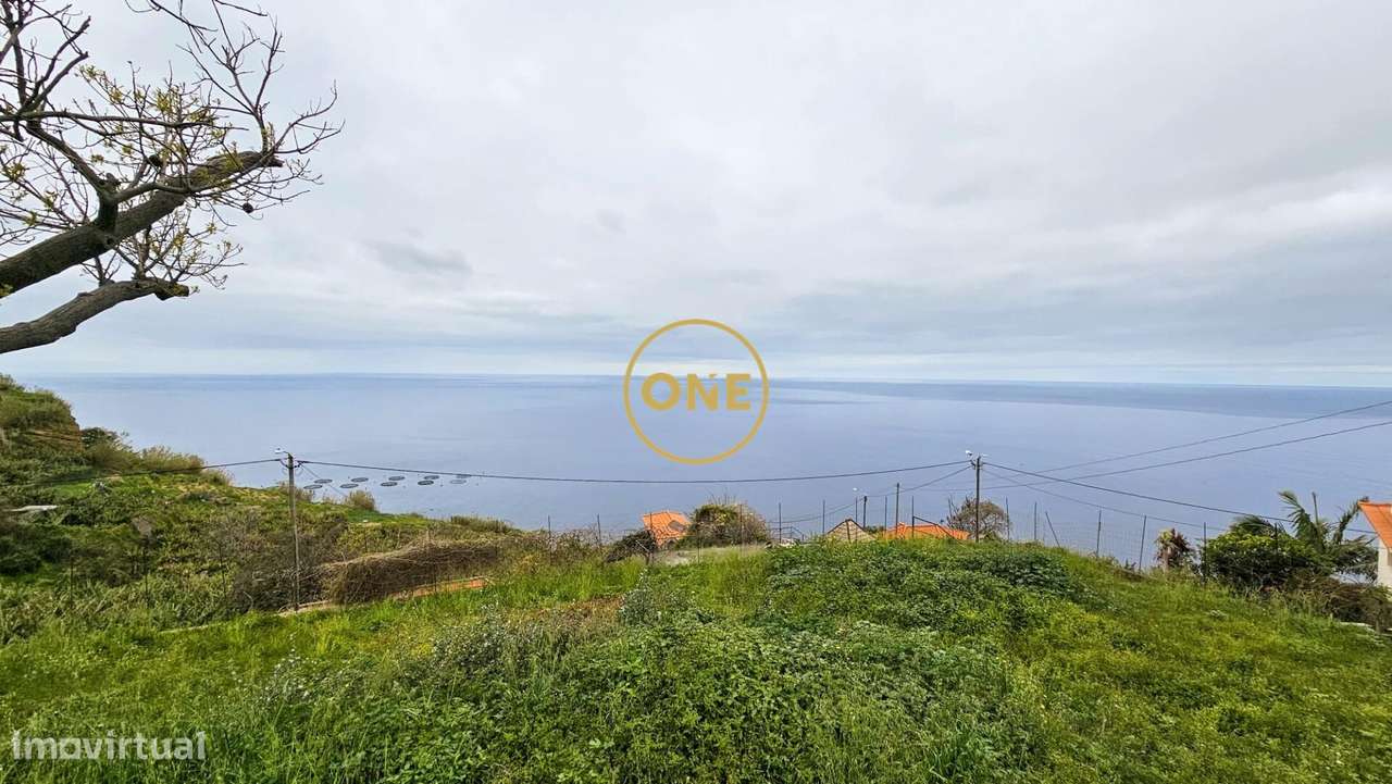 Terreno com 1231 m2 - Grande imagem: 3/41