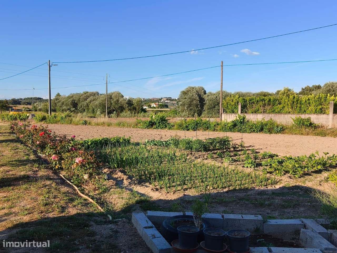 Terreno rustico em Peraboa-11