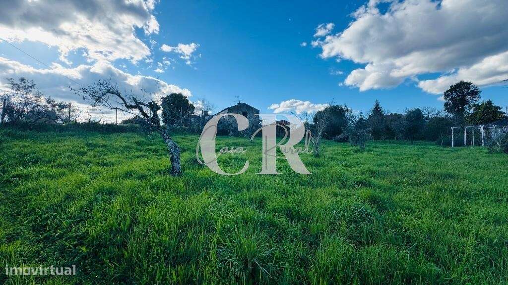 Quinta com casas de pedra para recuperar, poço e furo-36