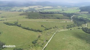 Bieszczady, Smolnik, kompleks 145 ha