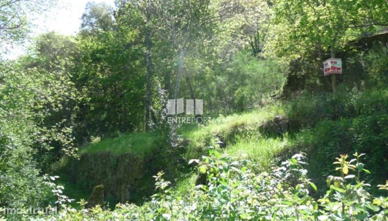 Venda Terreno, Ancede, Baião - Grande imagem: 2/9