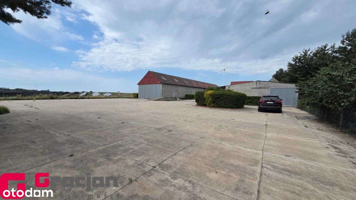 Budynki magazynowo-produkcyjne - Pełny obrazek: 5/11