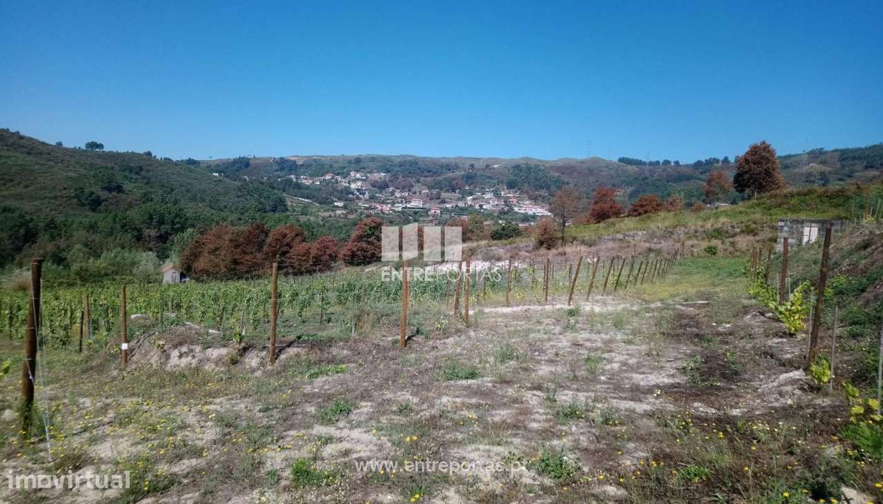 Venda Terreno, Gove, Baião - Grande imagem: 5/30