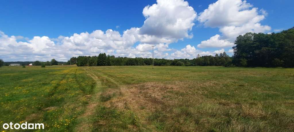 Działka rolna  Krosno/gm. Tykocin - Pełny obrazek: 4/4