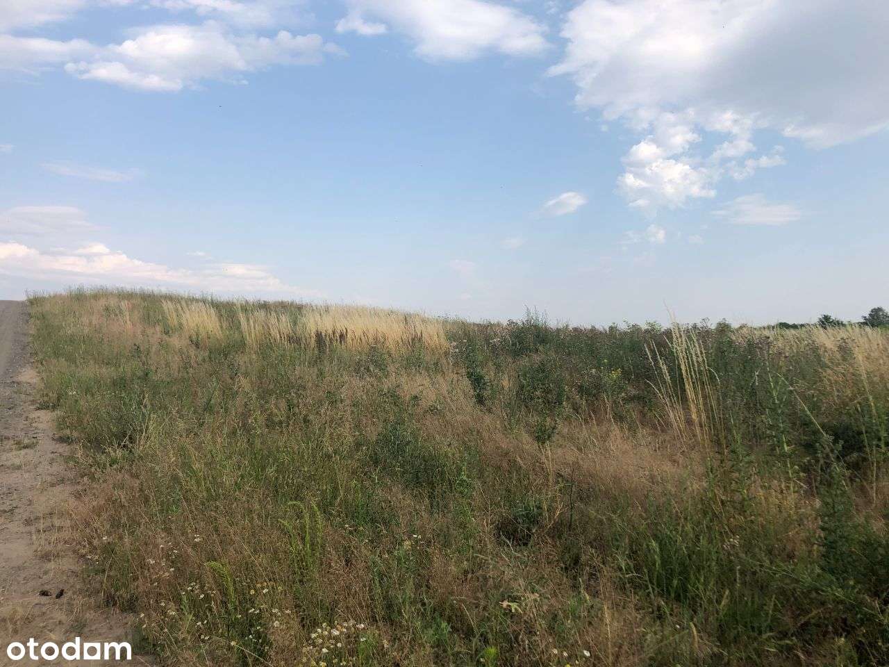 Działka Tarnowo Podgórne - Pełny obrazek: 5/7