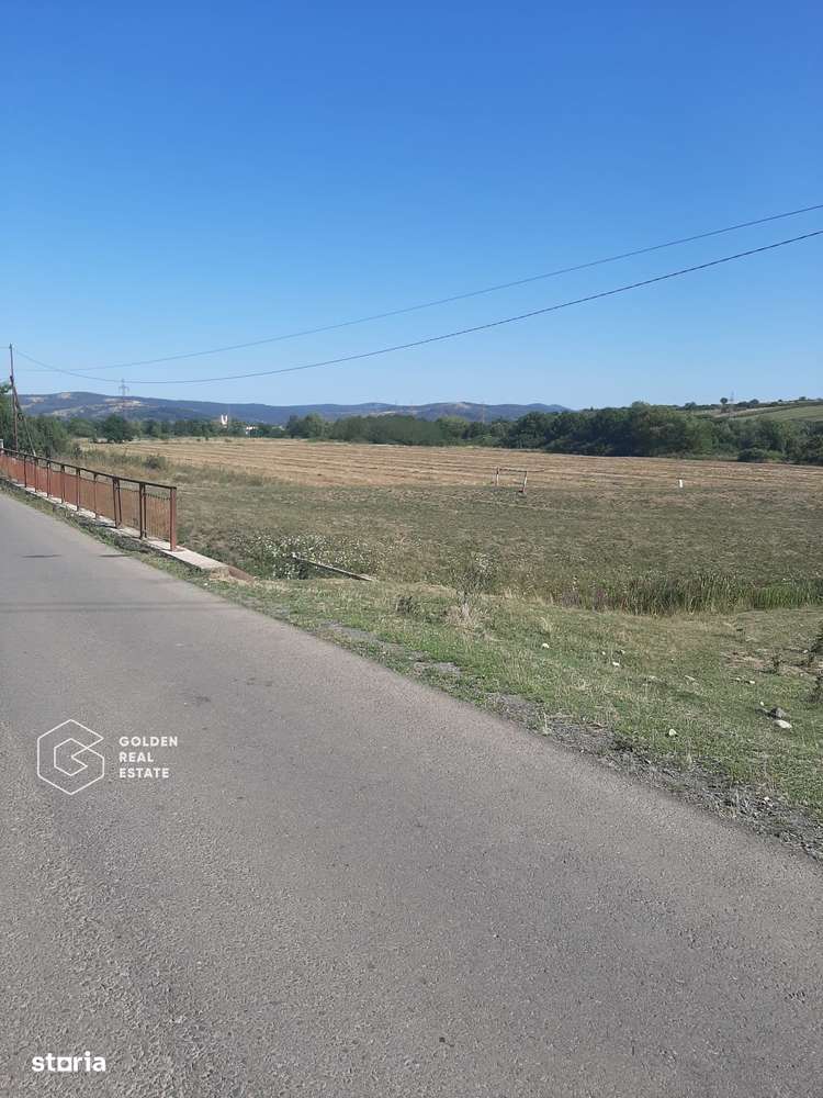 Terenuri 3699 mp, oras Lipova - Imagine principală: 2/3