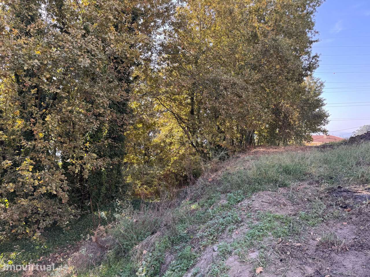 Terreno com 2,65hectares com potencial de construção em Abragão, Penaf - Grande imagem: 5/10