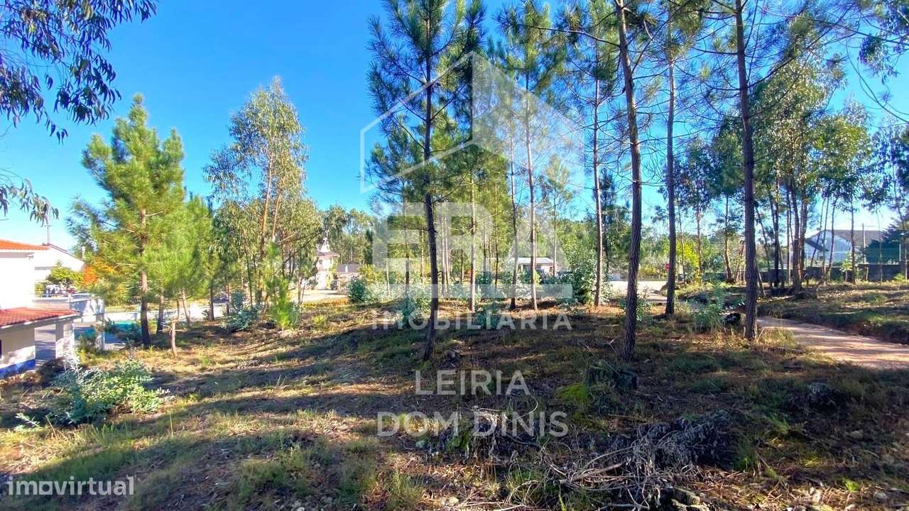 Terreno Urbano em Nossa Senhora da Piedade-6