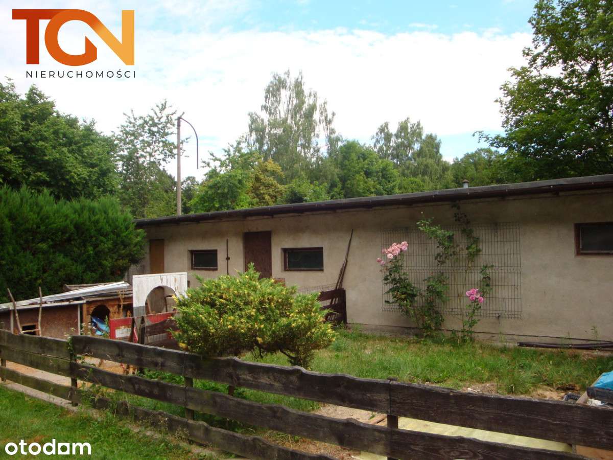 Duża działka tuż przy lesie - Wzniesienia Łódzkie - Pełny obrazek: 4/4