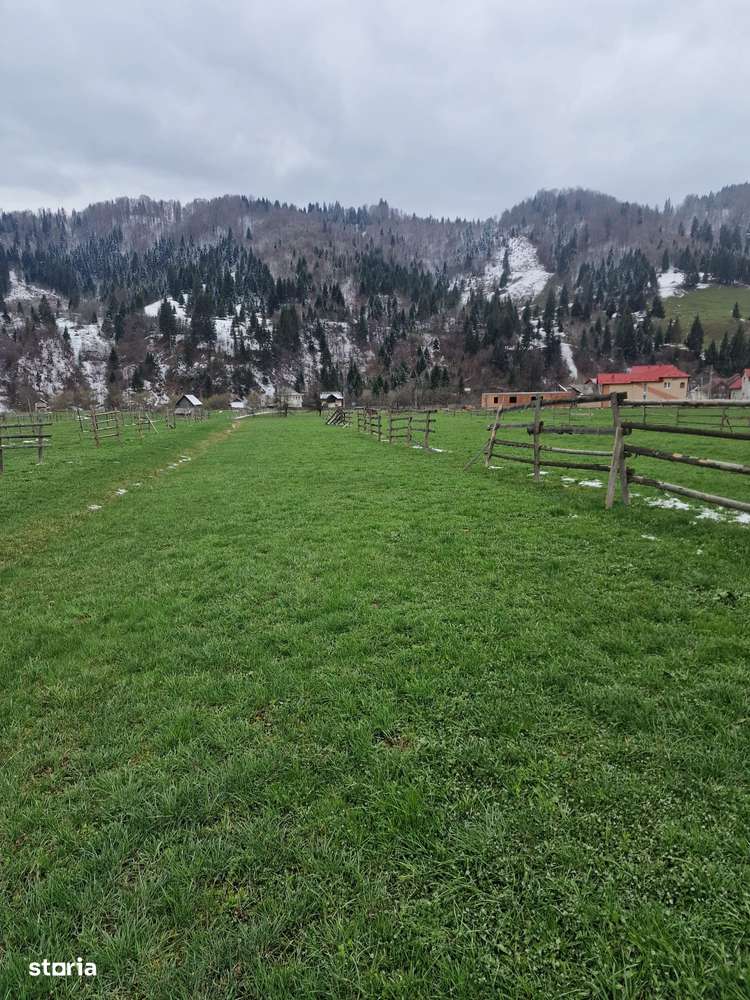 De vanzare teren intravilan 2466 mp Bucovina - Frumosu-3