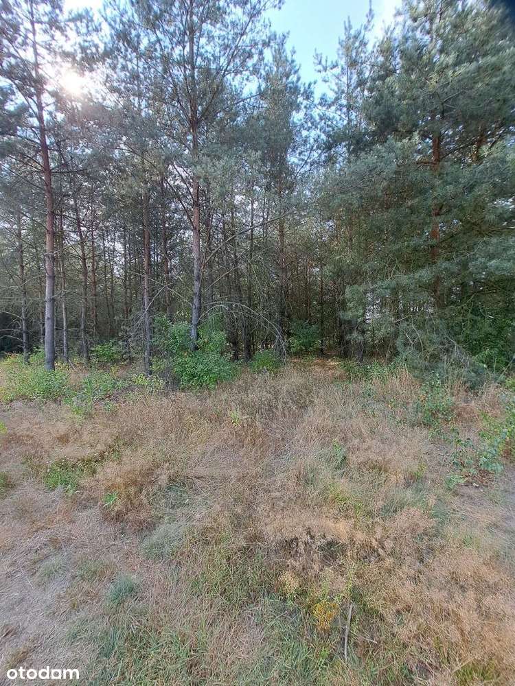 Działka pod zabudowę mieszkaniową.-4