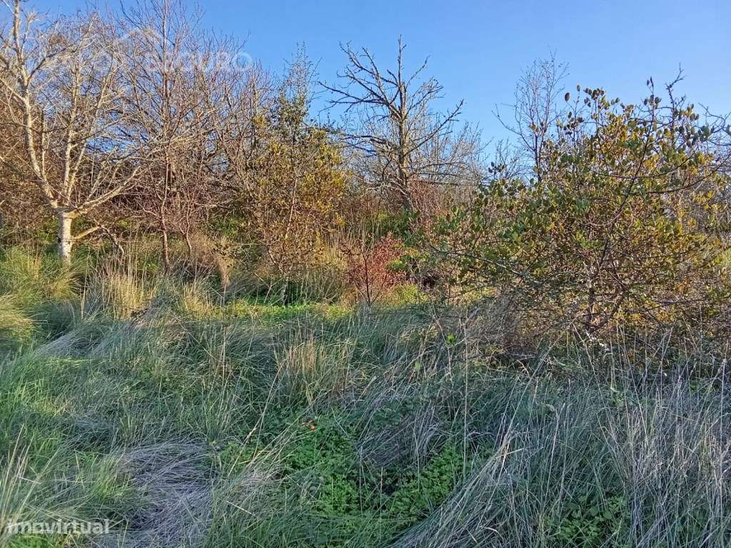 Terreno rústico em Vale Serrão, Pereiro de Palhacana, Alenquer-10
