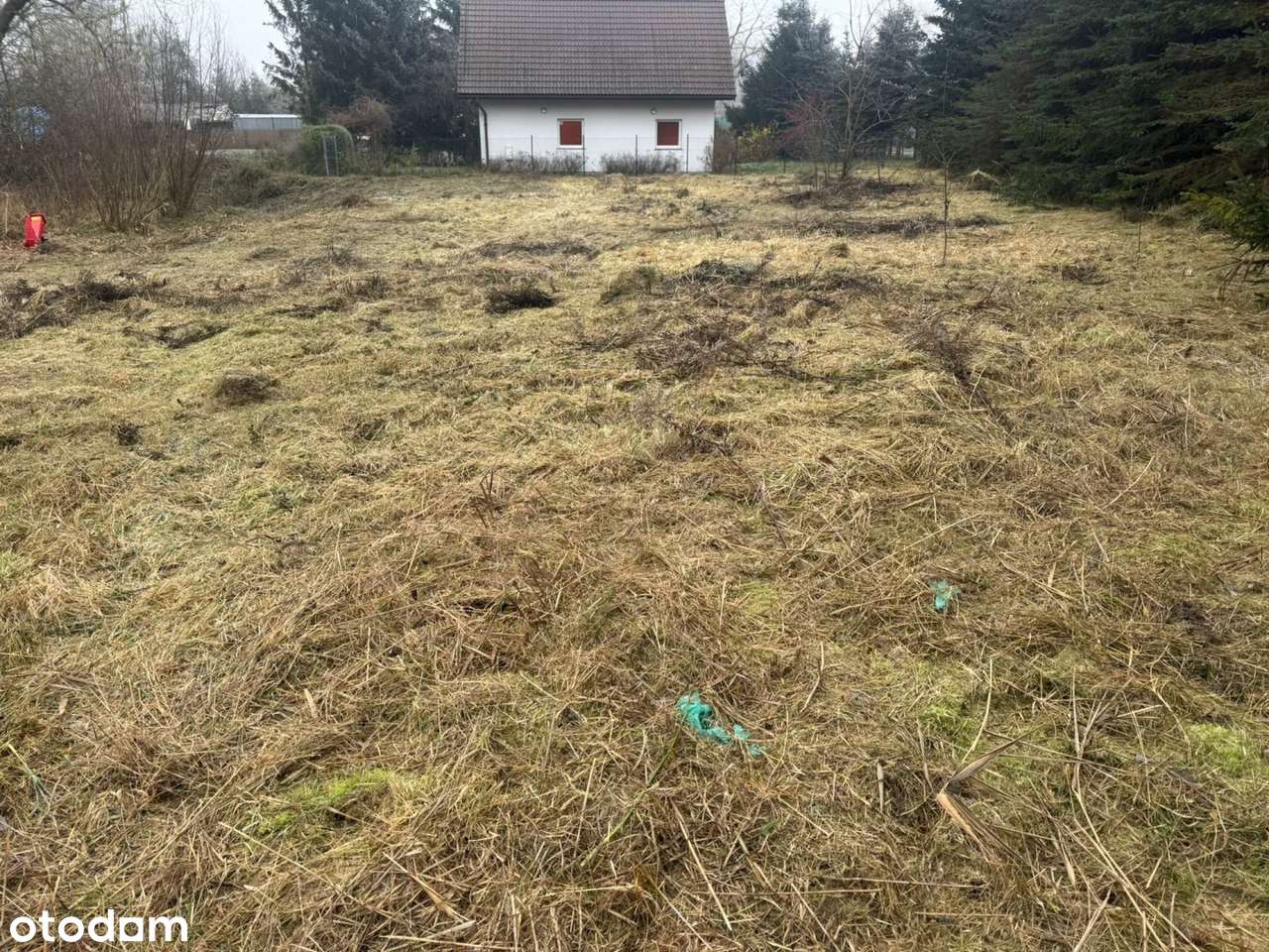 NA Sprzedaz Działka Z Linią Brzegową Jeziora-9