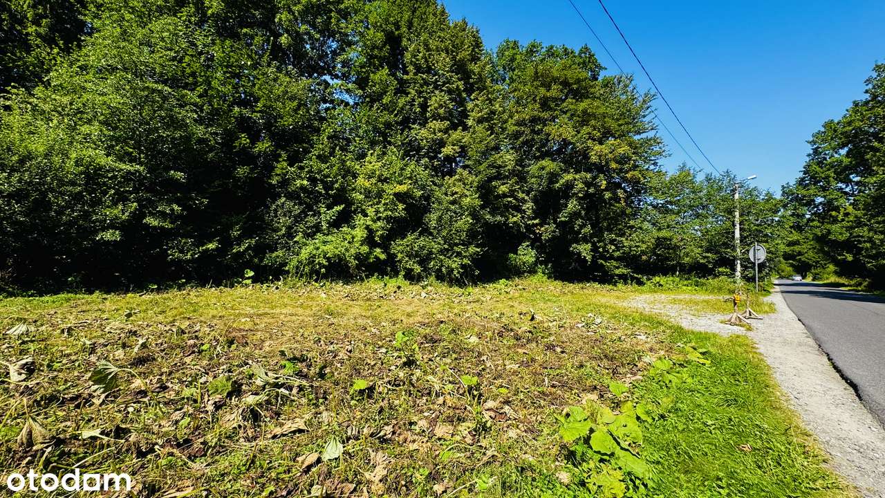 Dz. budowlana 1998 m2 obok strumyka z laskiem BRENNA - Pełny obrazek: 4/12