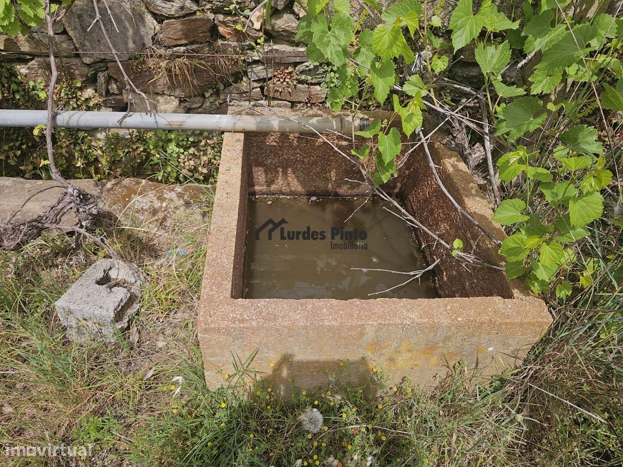 Quinta perto de Castelo Branco-14