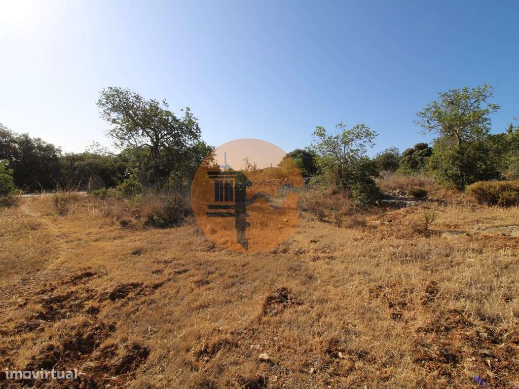 Terreno Rústico - Grande imagem: 2/20