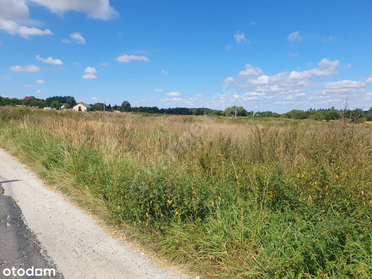 BUDOWLANA – 4 km od Środy Śląskiej - Pełny obrazek: 4/4
