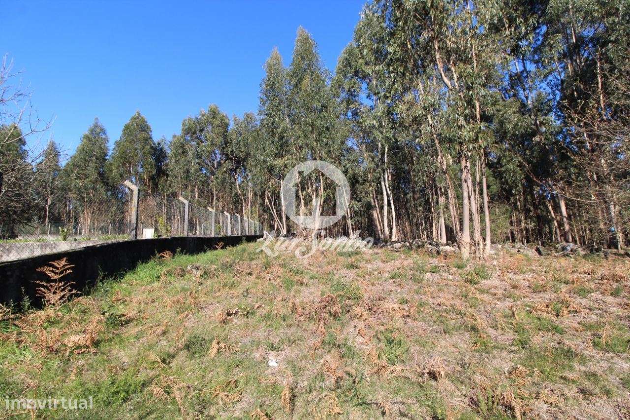 Terreno para construção com 5.000m2 em Vermoim - Grande imagem: 5/6