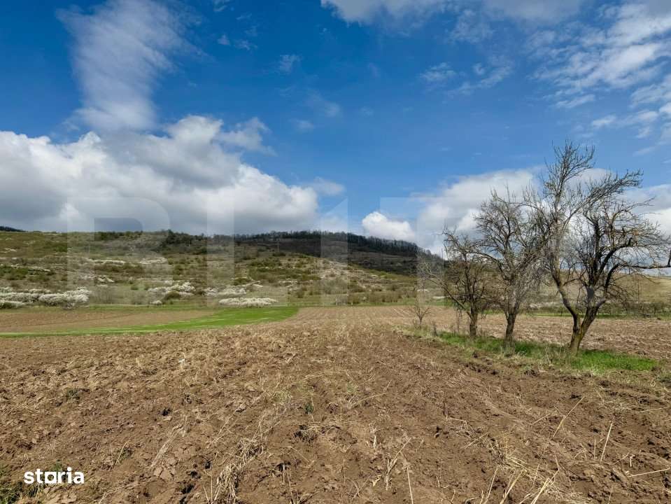 Teren intravilan de vanzare, 1500 mp, zona Șoimus - Imagine principală: 3/3