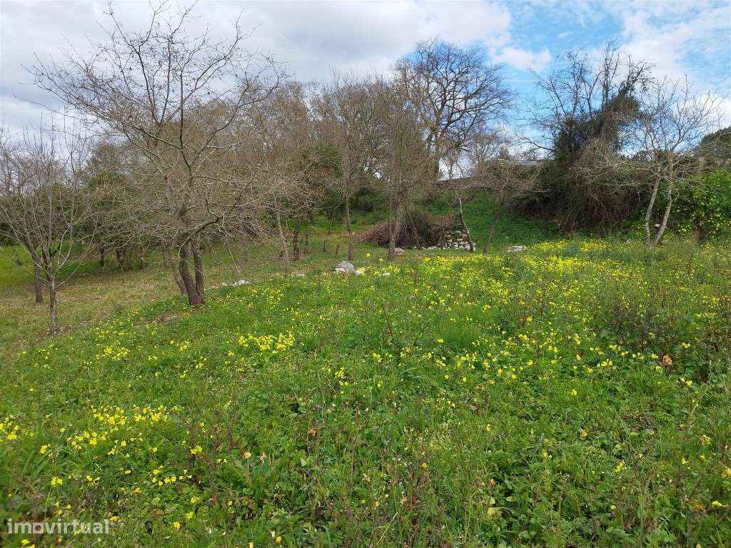 Terreno Urbano Venda Leiria-8