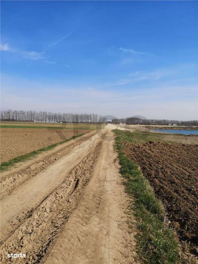 RECO Teren Santion - Imagine principală: 4/5