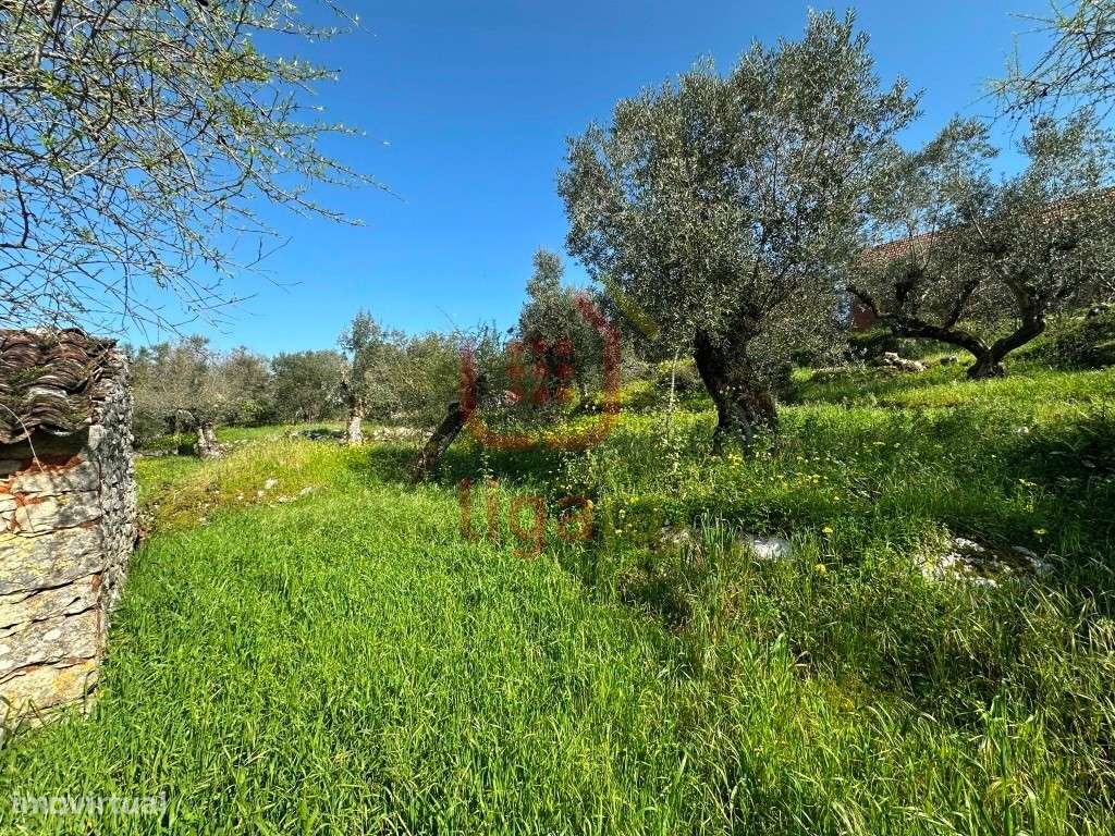 Moradia T2 com Terreno e Anexos - Ourém!-23