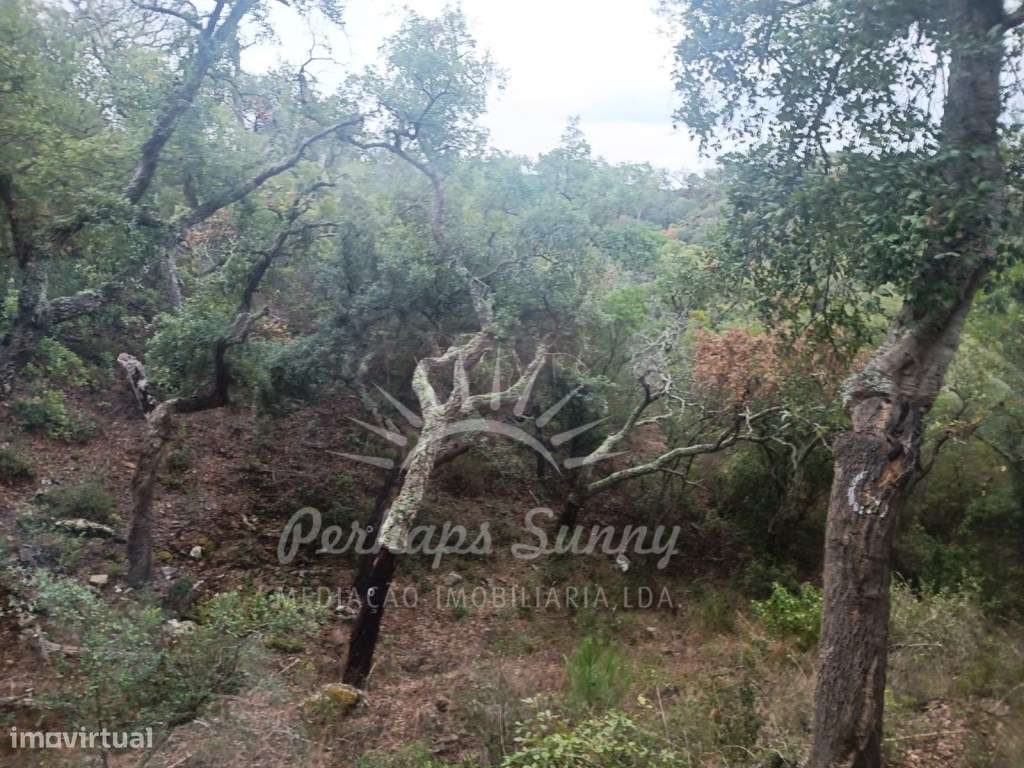 Terreno São Francisco da Serra - Grande imagem: 2/12