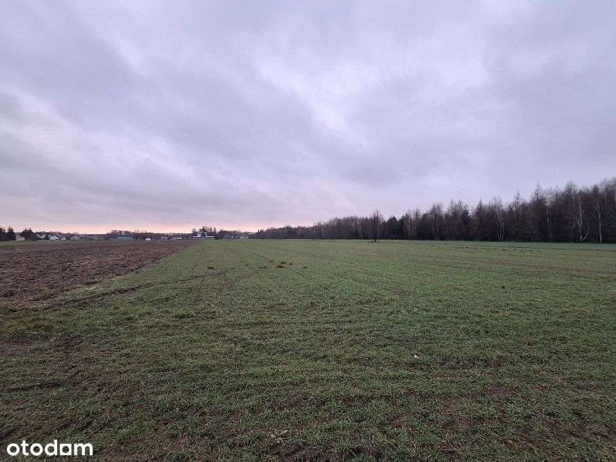 Teren 6 000 m2 przemysł/usługi/rzemiosło - Pełny obrazek: 5/5