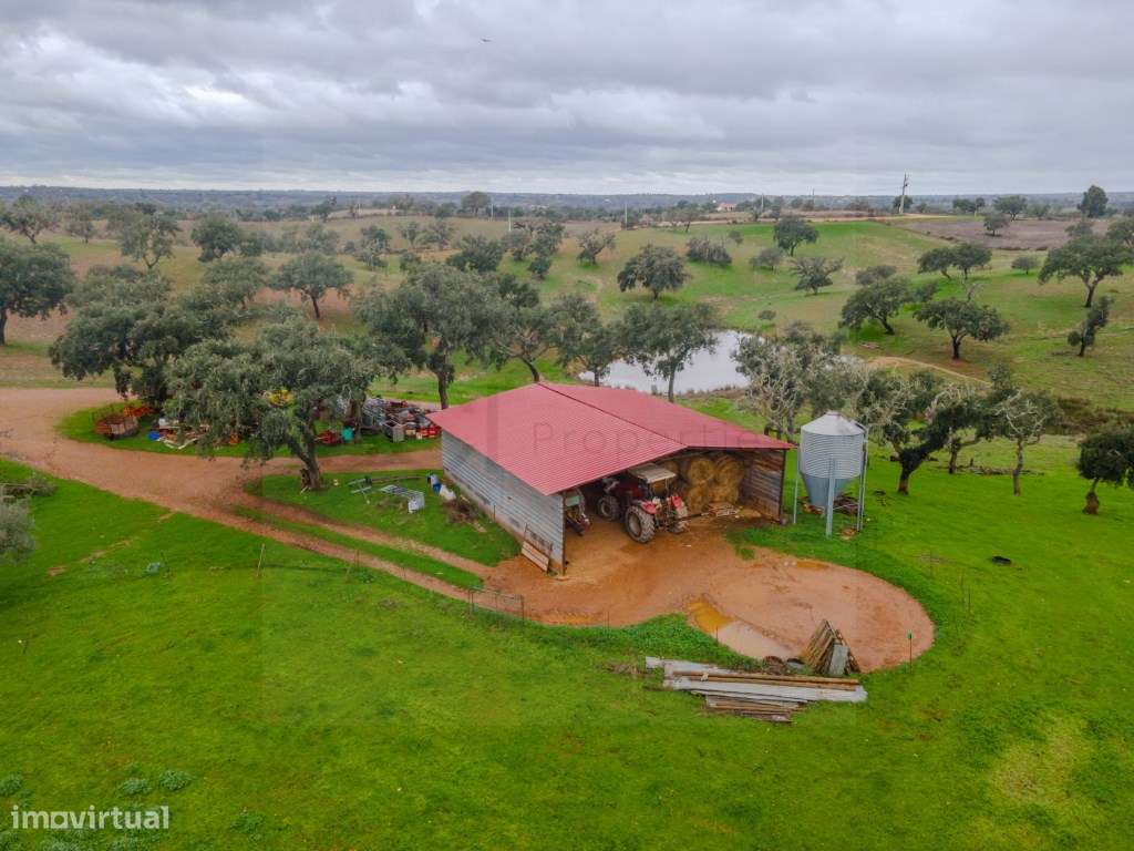 Fantástica quinta típica Alentejana em Vila Verde de Ficalho-8