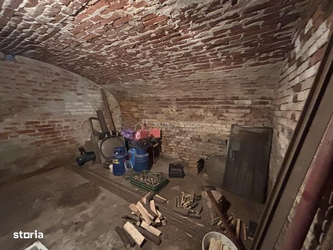 Casa pe malul Crisului - 172 mp - Ultracentral-14