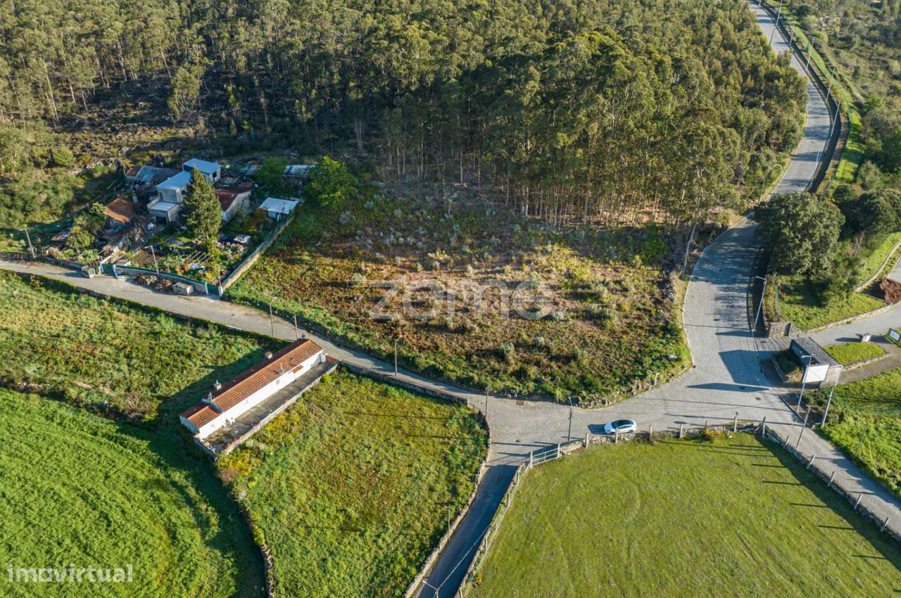 Terreno com 4200m2 em São Pedro de Avioso - Grande imagem: 1/16