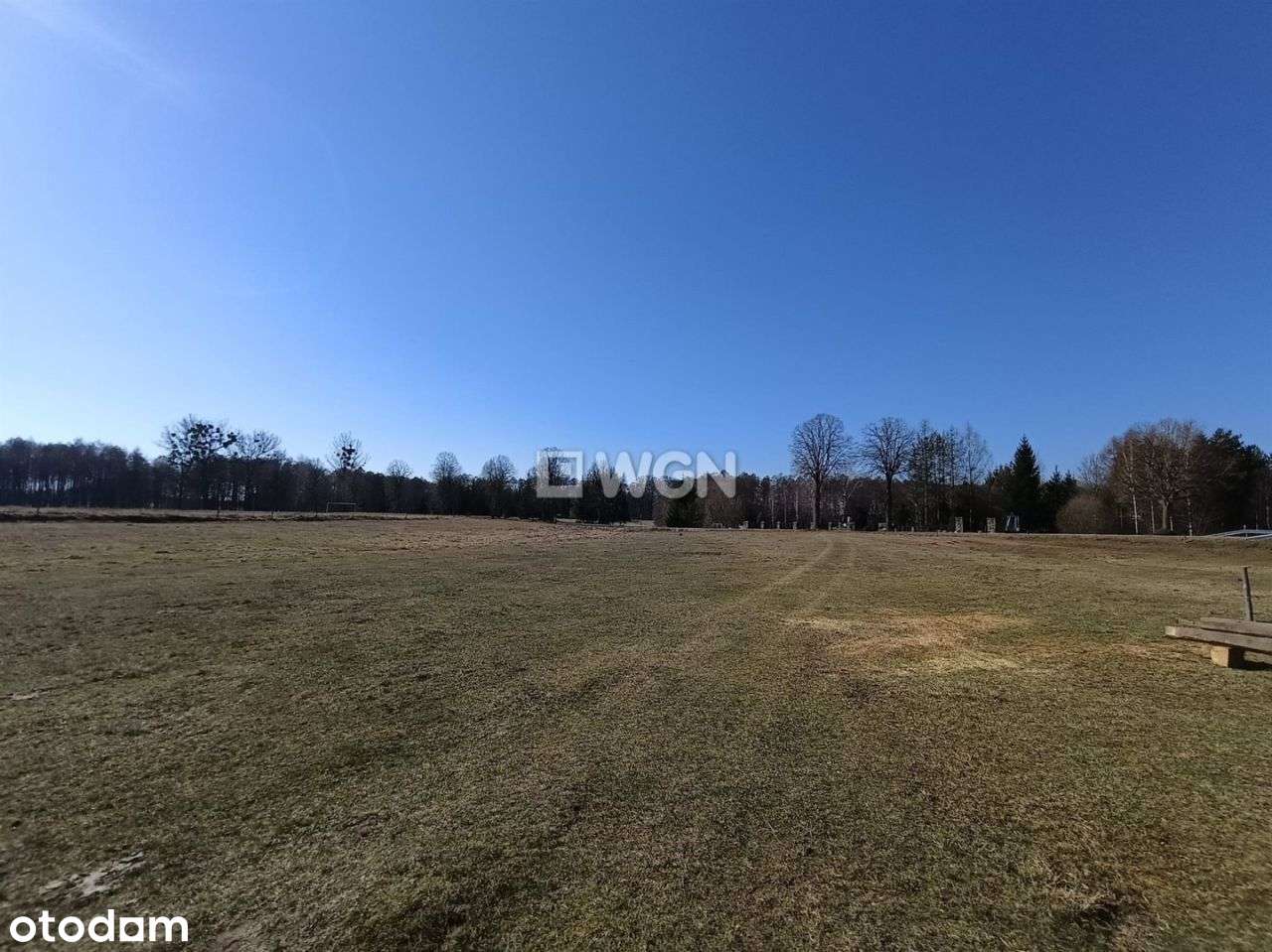 Rożyńsk działka, blisko Jeziora - Pełny obrazek: 2/15