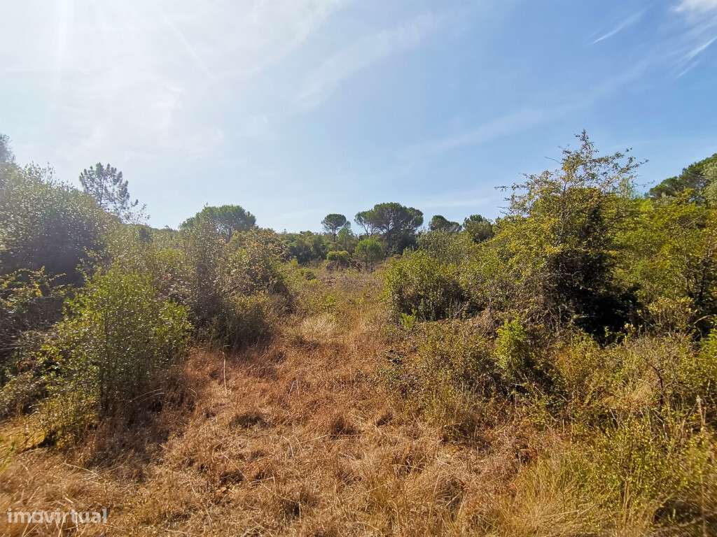 Terreno em zona de Cernache, Coimbra - Grande imagem: 2/5