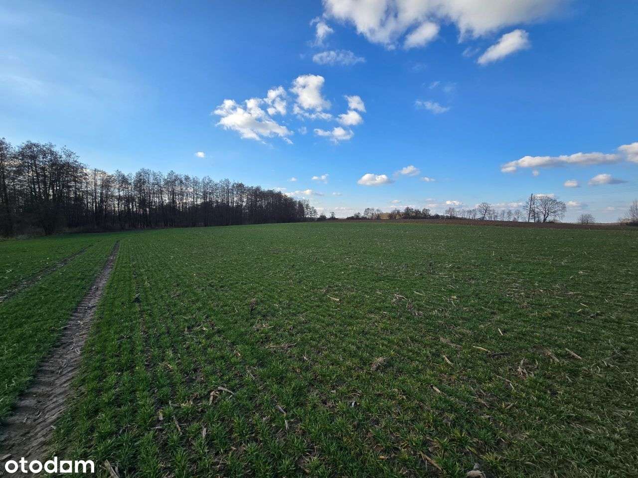 Działki w Jarosławkach 2 z 8szt po 50zł/m2-3